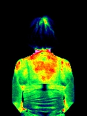thermo2.jpg