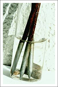 kugi01.jpg