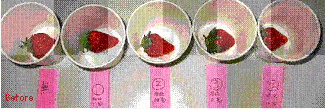 image062.gif