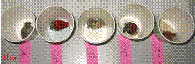 image063.gif