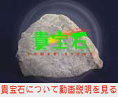 video_kihoseki.jpg